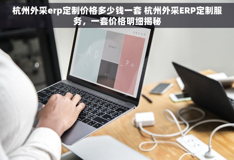 杭州外采erp定制价格多少钱一套 杭州外采ERP定制服务，一套价格明细揭秘