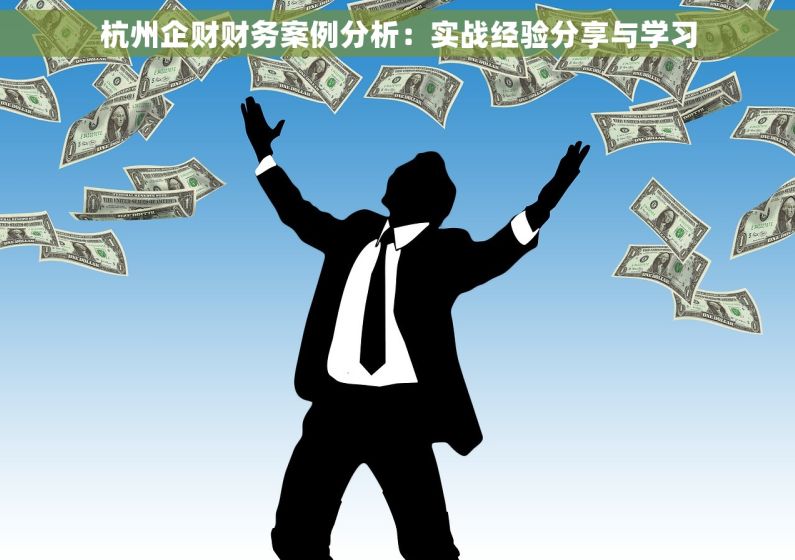 杭州企财财务案例分析：实战经验分享与学习