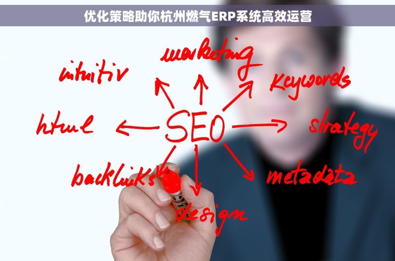 优化策略助你杭州燃气ERP系统高效运营