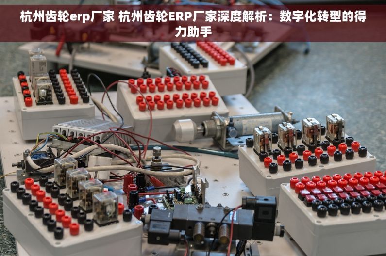 杭州齿轮erp厂家 杭州齿轮ERP厂家深度解析：数字化转型的得力助手