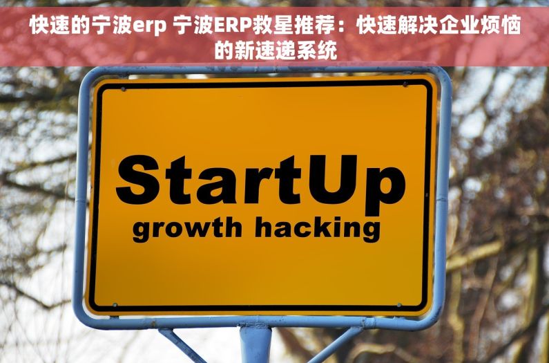 快速的宁波erp 宁波ERP救星推荐：快速解决企业烦恼的新速递系统