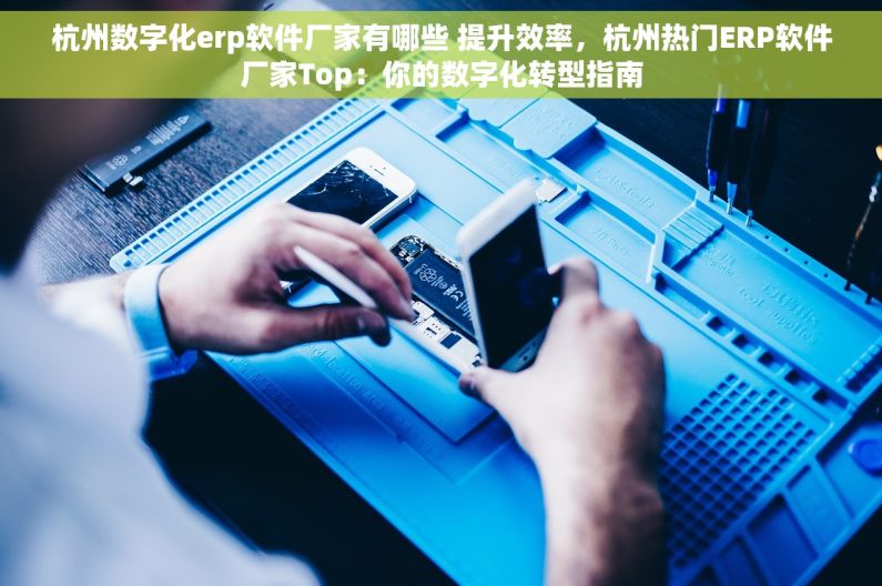 杭州数字化erp软件厂家有哪些 提升效率，杭州热门ERP软件厂家Top：你的数字化转型指南
