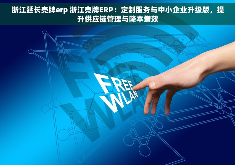 浙江延长壳牌erp 浙江壳牌ERP：定制服务与中小企业升级版，提升供应链管理与降本增效