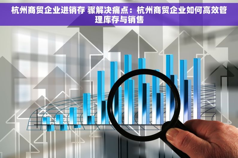 杭州商贸企业进销存 骤解决痛点：杭州商贸企业如何高效管理库存与销售