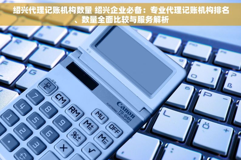 绍兴代理记账机构数量 绍兴企业必备：专业代理记账机构排名、数量全面比较与服务解析