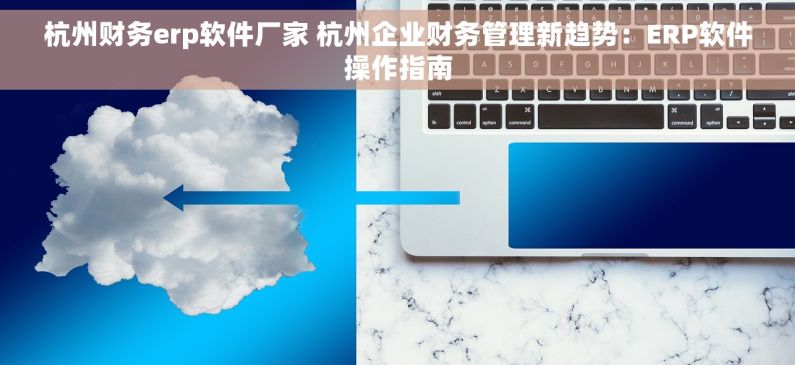杭州财务erp软件厂家 杭州企业财务管理新趋势：ERP软件操作指南