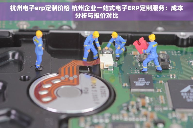 杭州电子erp定制价格 杭州企业一站式电子ERP定制服务：成本分析与报价对比