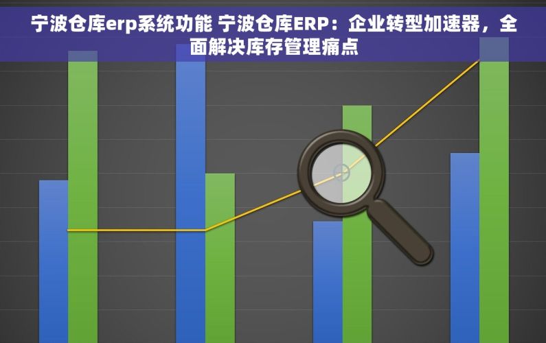 宁波仓库erp系统功能 宁波仓库ERP：企业转型加速器，全面解决库存管理痛点