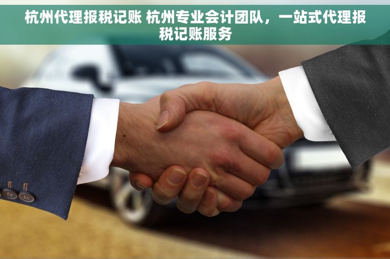 杭州代理报税记账 杭州专业会计团队，一站式代理报税记账服务