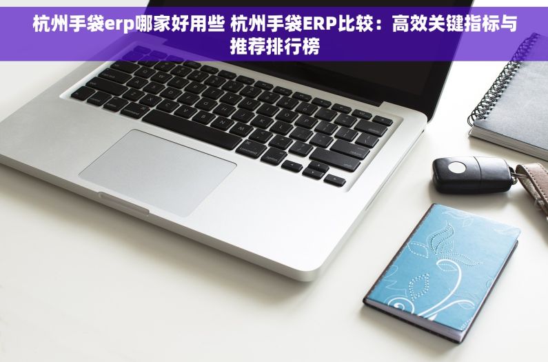 杭州手袋erp哪家好用些 杭州手袋ERP比较：高效关键指标与推荐排行榜