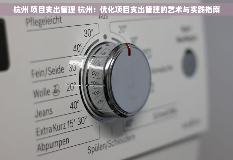 杭州 项目支出管理 杭州：优化项目支出管理的艺术与实践指南