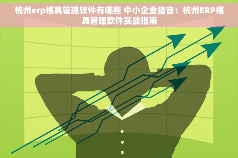 杭州erp模具管理软件有哪些 中小企业福音：杭州ERP模具管理软件实战指南