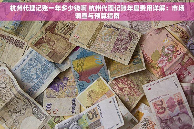 杭州代理记账一年多少钱啊 杭州代理记账年度费用详解：市场调查与预算指南