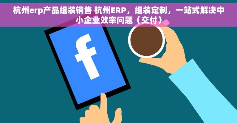 杭州erp产品组装销售 杭州ERP，组装定制，一站式解决中小企业效率问题（交付）