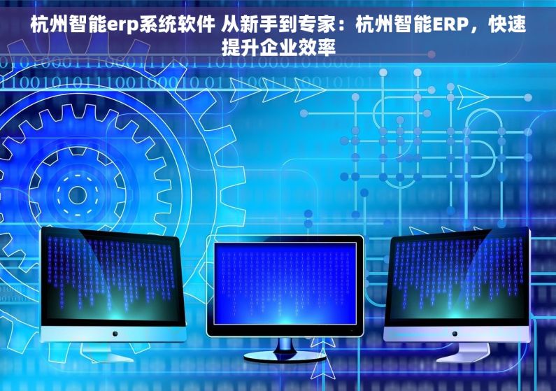 杭州智能erp系统软件 从新手到专家：杭州智能ERP，快速提升企业效率