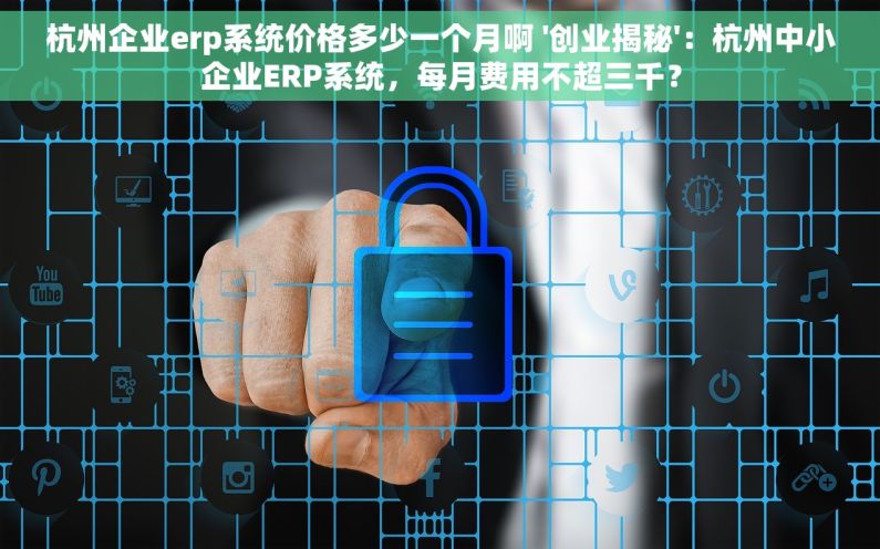 杭州企业erp系统价格多少一个月啊 '创业揭秘'：杭州中小企业ERP系统，每月费用不超三千？