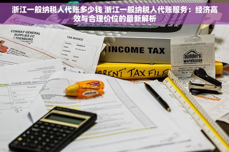 浙江一般纳税人代账多少钱 浙江一般纳税人代账服务：经济高效与合理价位的最新解析