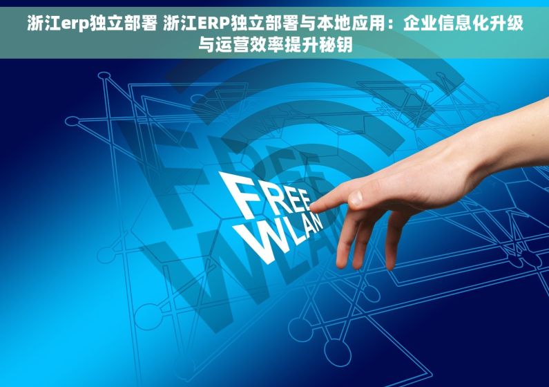 浙江erp独立部署 浙江ERP独立部署与本地应用：企业信息化升级与运营效率提升秘钥