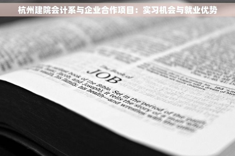 杭州建院会计系与企业合作项目：实习机会与就业优势