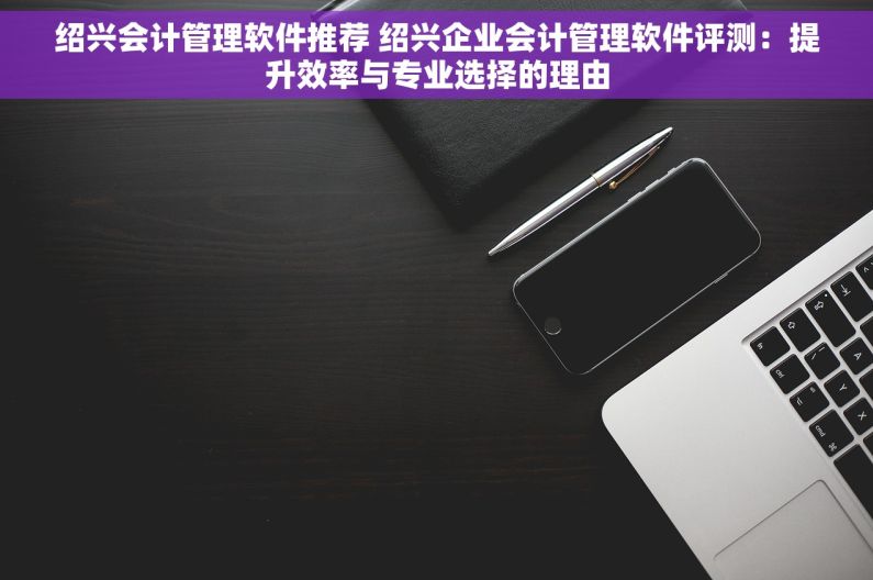 绍兴会计管理软件推荐 绍兴企业会计管理软件评测：提升效率与专业选择的理由