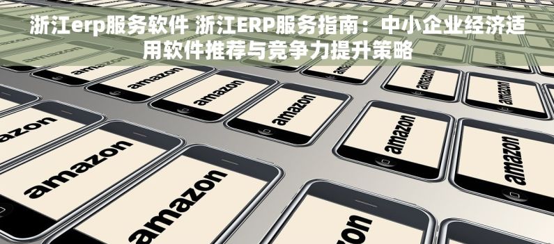 浙江erp服务软件 浙江ERP服务指南：中小企业经济适用软件推荐与竞争力提升策略