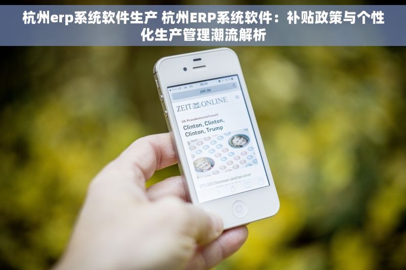 杭州erp系统软件生产 杭州ERP系统软件：补贴政策与个性化生产管理潮流解析