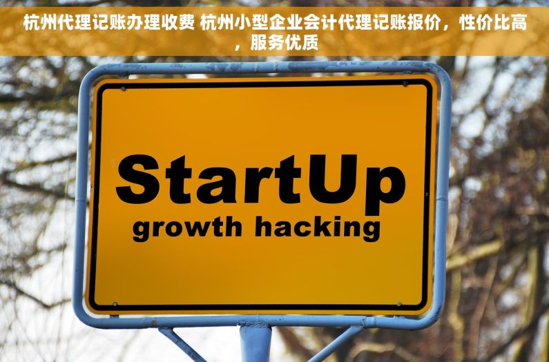 杭州代理记账办理收费 杭州小型企业会计代理记账报价，性价比高，服务优质