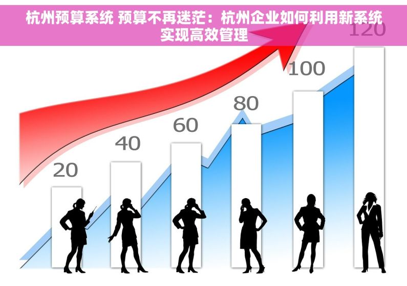 杭州预算系统 预算不再迷茫：杭州企业如何利用新系统实现高效管理