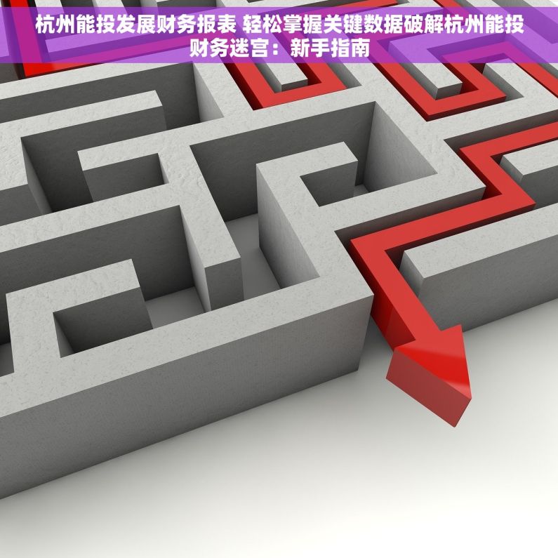 杭州能投发展财务报表 轻松掌握关键数据破解杭州能投财务迷宫：新手指南