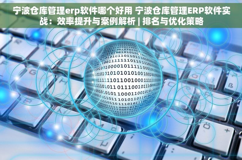 宁波仓库管理erp软件哪个好用 宁波仓库管理ERP软件实战：效率提升与案例解析 | 排名与优化策略
