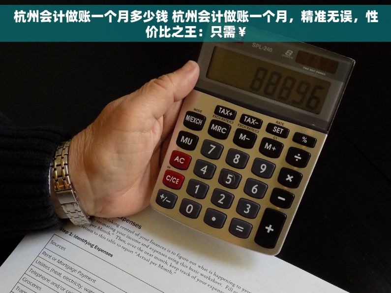 杭州会计做账一个月多少钱 杭州会计做账一个月，精准无误，性价比之王：只需￥