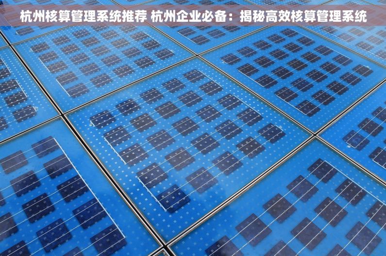 杭州核算管理系统推荐 杭州企业必备：揭秘高效核算管理系统