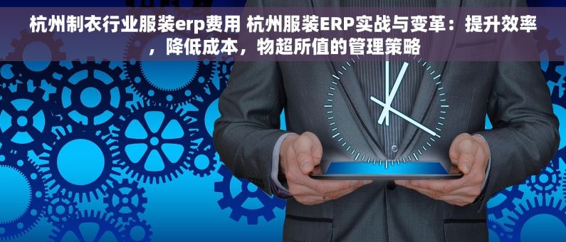 杭州制衣行业服装erp费用 杭州服装ERP实战与变革：提升效率，降低成本，物超所值的管理策略