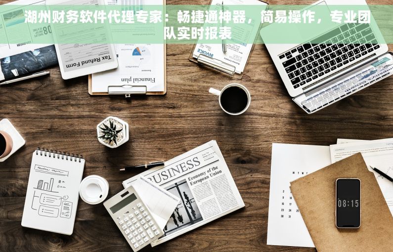 湖州财务软件代理专家：畅捷通神器，简易操作，专业团队实时报表