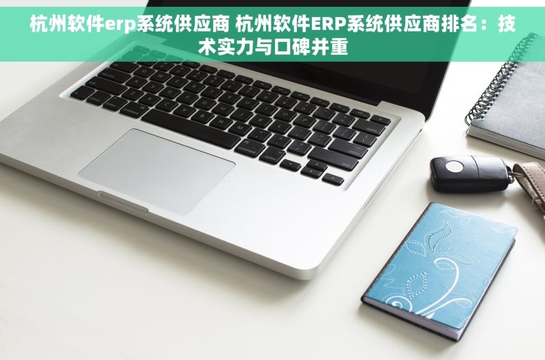 杭州软件erp系统供应商 杭州软件ERP系统供应商排名：技术实力与口碑并重