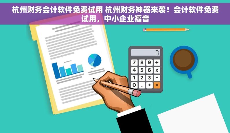杭州财务会计软件免费试用 杭州财务神器来袭！会计软件免费试用，中小企业福音