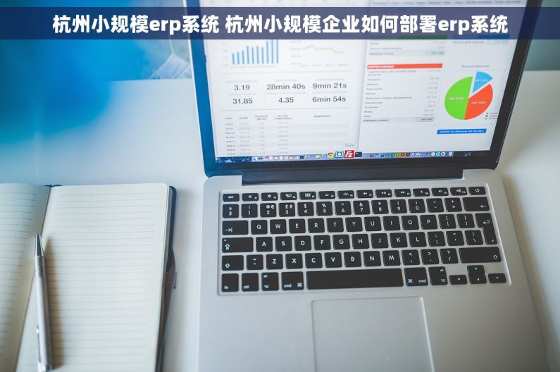 杭州小规模erp系统 杭州小规模企业如何部署erp系统