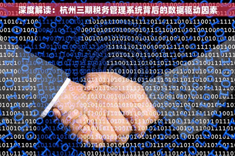 深度解读：杭州三期税务管理系统背后的数据驱动因素