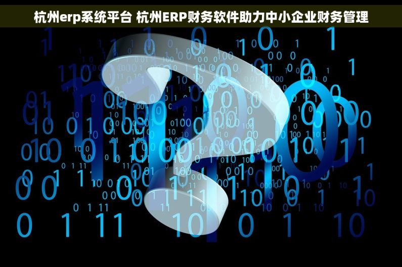 杭州erp系统平台 杭州ERP财务软件助力中小企业财务管理