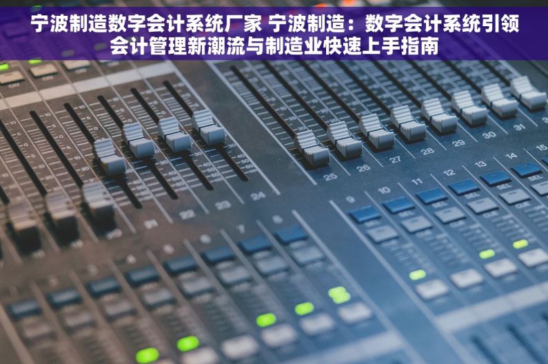 宁波制造数字会计系统厂家 宁波制造：数字会计系统引领会计管理新潮流与制造业快速上手指南