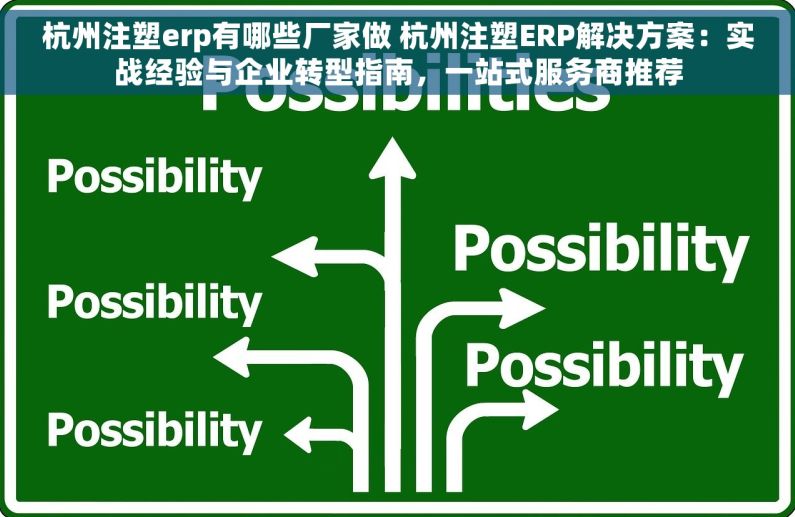 杭州注塑erp有哪些厂家做 杭州注塑ERP解决方案：实战经验与企业转型指南，一站式服务商推荐