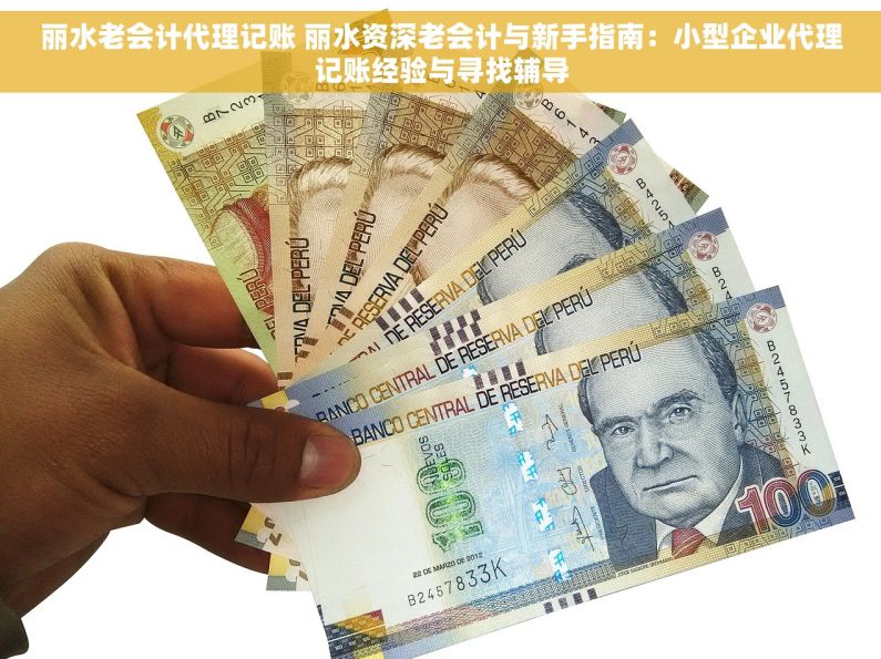丽水老会计代理记账 丽水资深老会计与新手指南：小型企业代理记账经验与寻找辅导