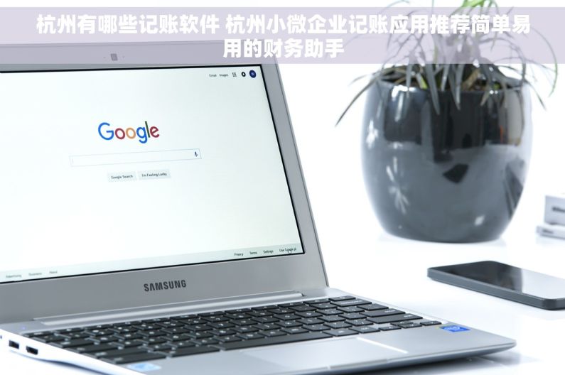 杭州有哪些记账软件 杭州小微企业记账应用推荐简单易用的财务助手