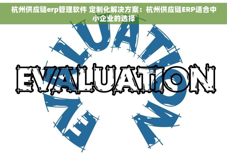 杭州供应链erp管理软件 定制化解决方案：杭州供应链ERP适合中小企业的选择
