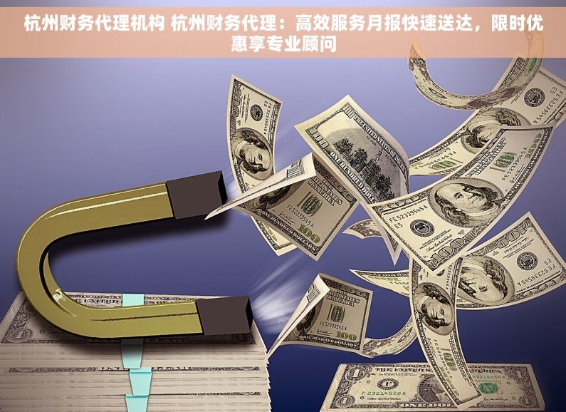 杭州财务代理机构 杭州财务代理：高效服务月报快速送达，限时优惠享专业顾问