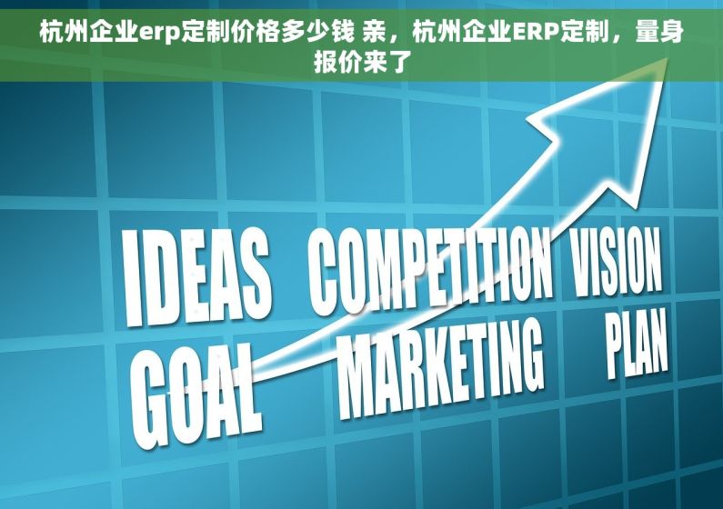 杭州企业erp定制价格多少钱 亲，杭州企业ERP定制，量身报价来了