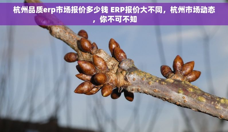 杭州品质erp市场报价多少钱 ERP报价大不同，杭州市场动态，你不可不知