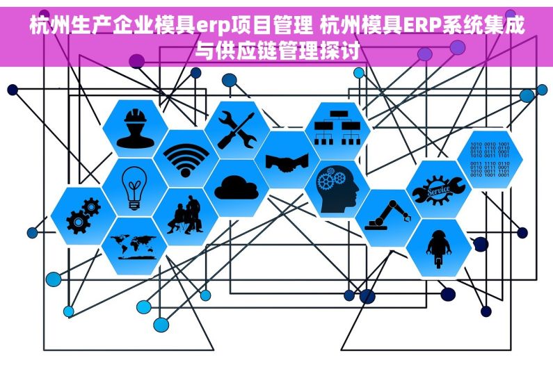 杭州生产企业模具erp项目管理 杭州模具ERP系统集成与供应链管理探讨