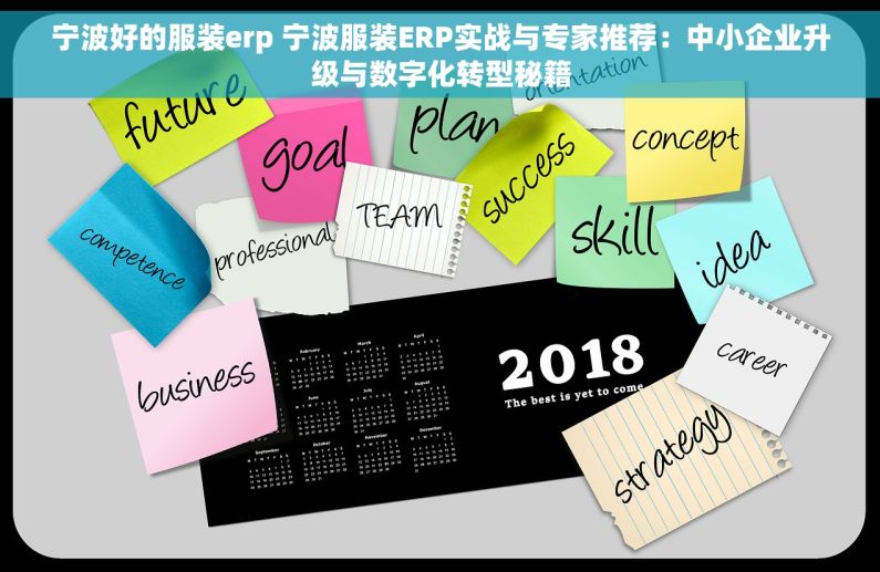 宁波好的服装erp 宁波服装ERP实战与专家推荐：中小企业升级与数字化转型秘籍