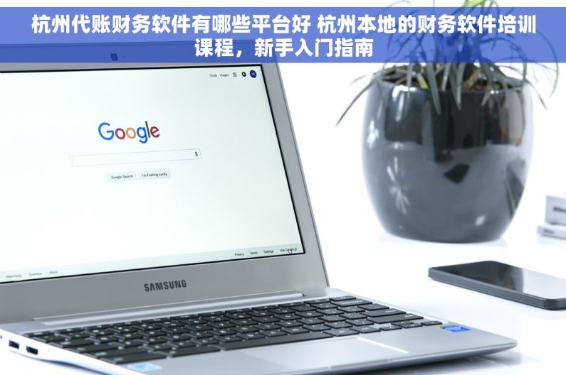 杭州代账财务软件有哪些平台好 杭州本地的财务软件培训课程，新手入门指南
